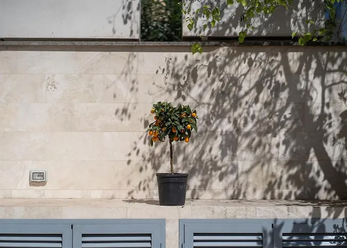 Pgrhome Civinini